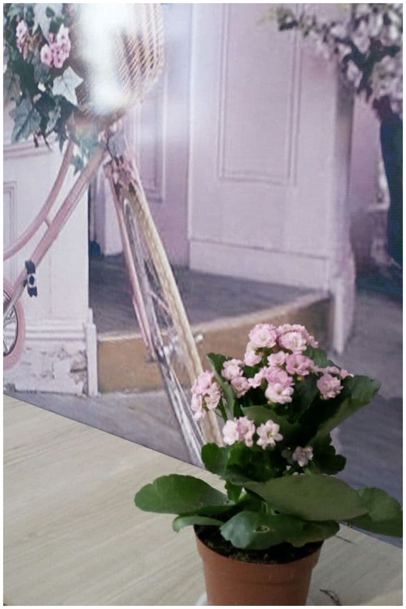 decorare un ambiente in armonia con la casa